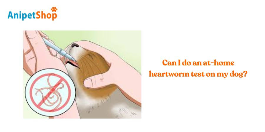 Can I do an at-home heartworm test on my dog?