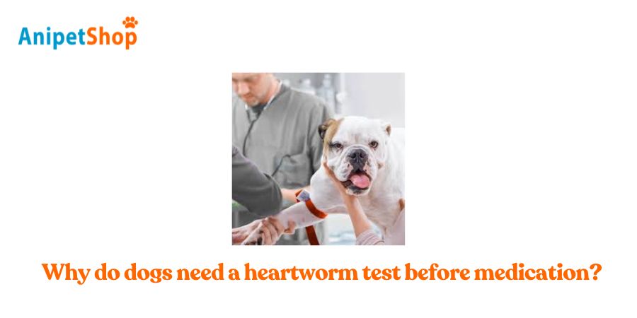  Why do dogs need a heartworm test before medication?