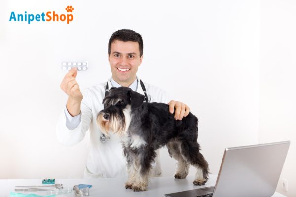 Drug Interactions Influence the Severity of Pet Medication Side Effects