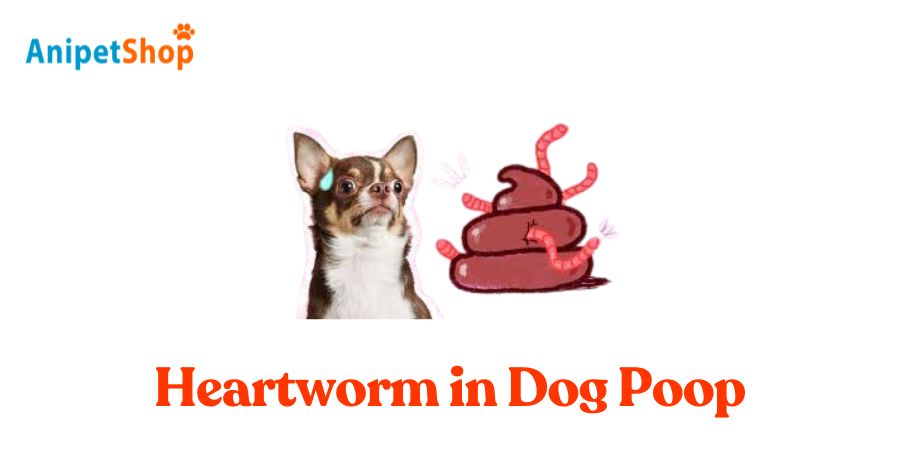 Heartworm in Dog Poop