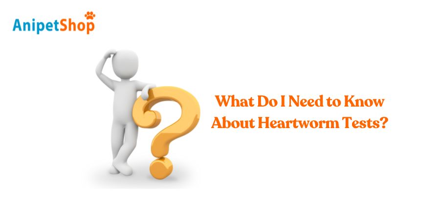 What Do I Need to Know About Heartworm Tests?