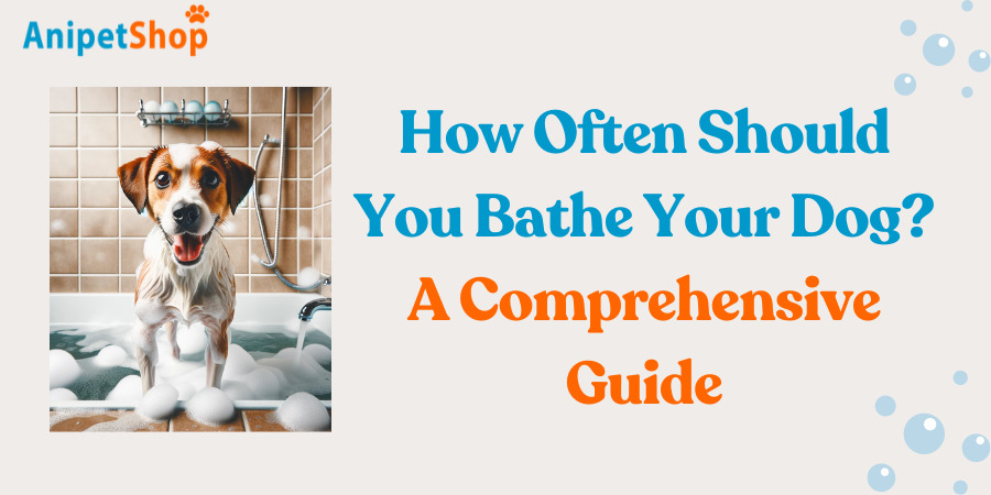 How Often Should You Bathe Your Dog?