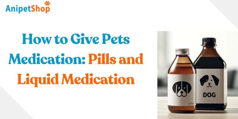 How to Give Pets Medication: Pills and Liquid Medication