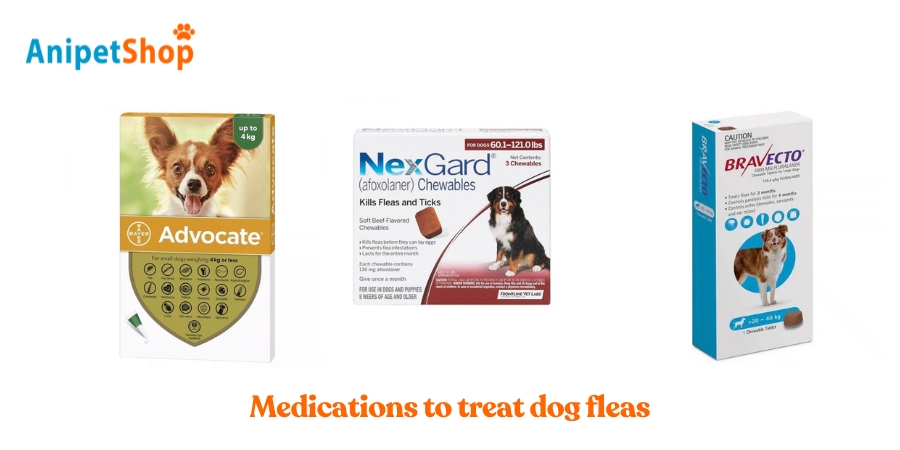 Flea meds include oral an topical medications