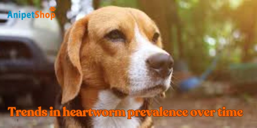 Trends in heartworm prevalence over time