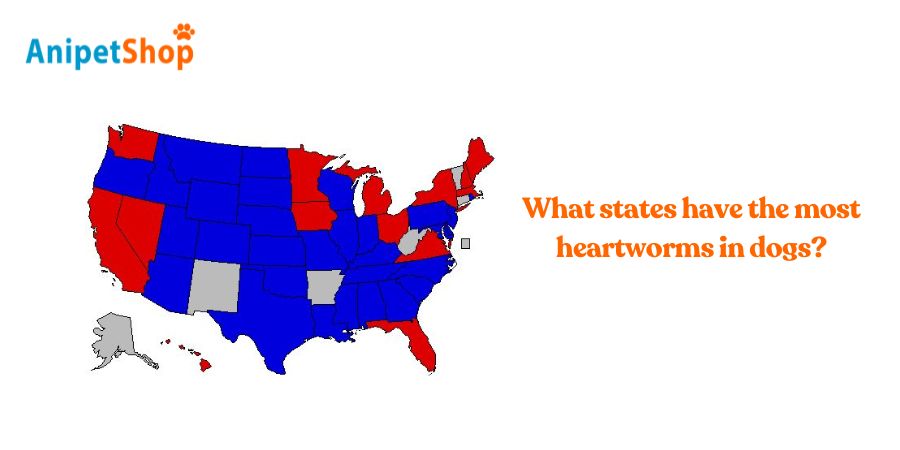 What states have the most heartworms in dogs?