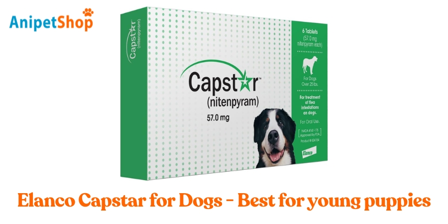 Elanco Capstar for Dogs