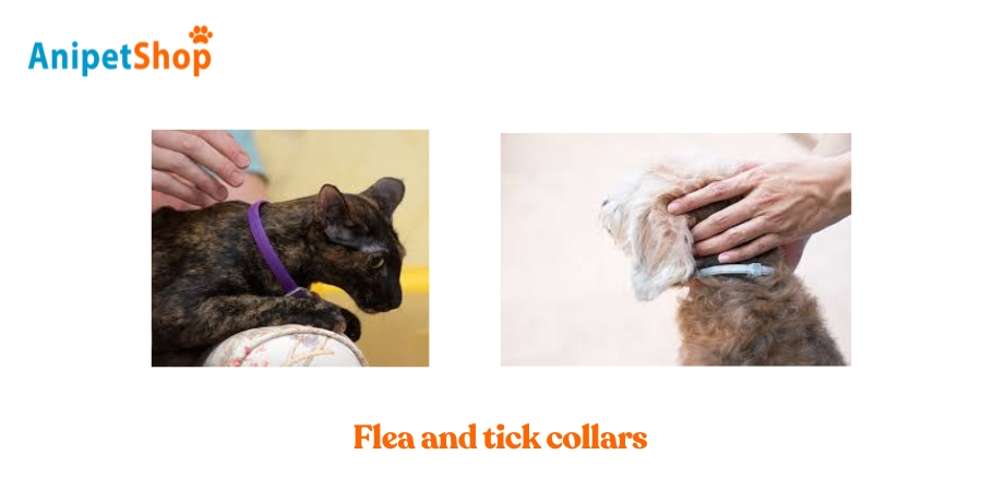 parasite control collars for pets