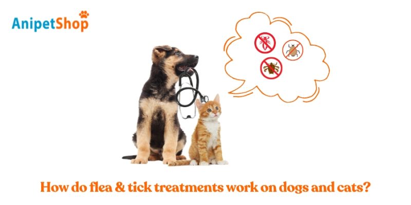 flea tick treatment mechanism