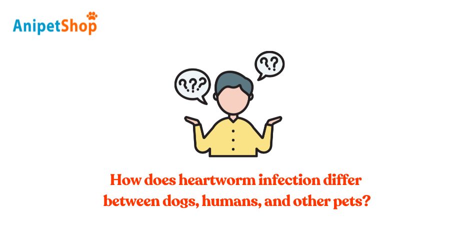 How does heartworm infection differ between dogs, humans, and other pets?