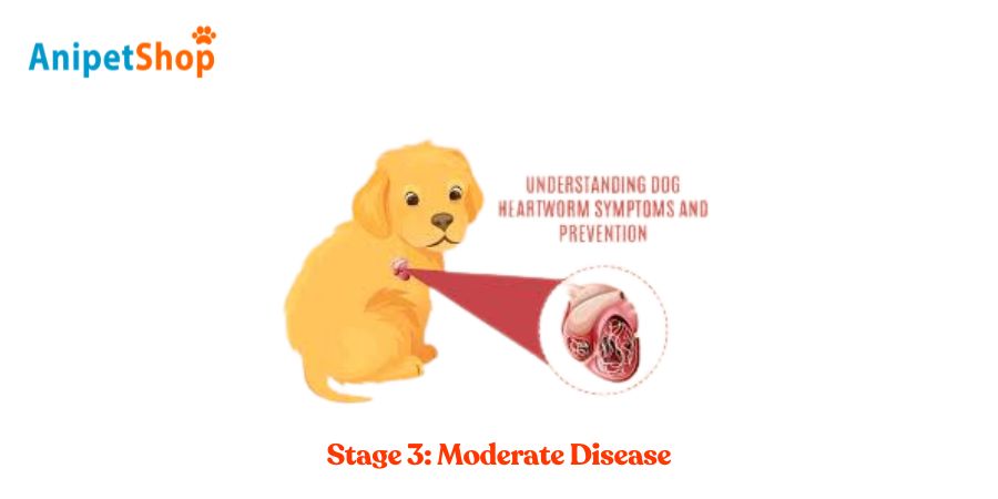 Stage 3: Moderate Disease