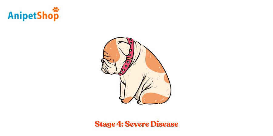 Stage 4: Severe Disease