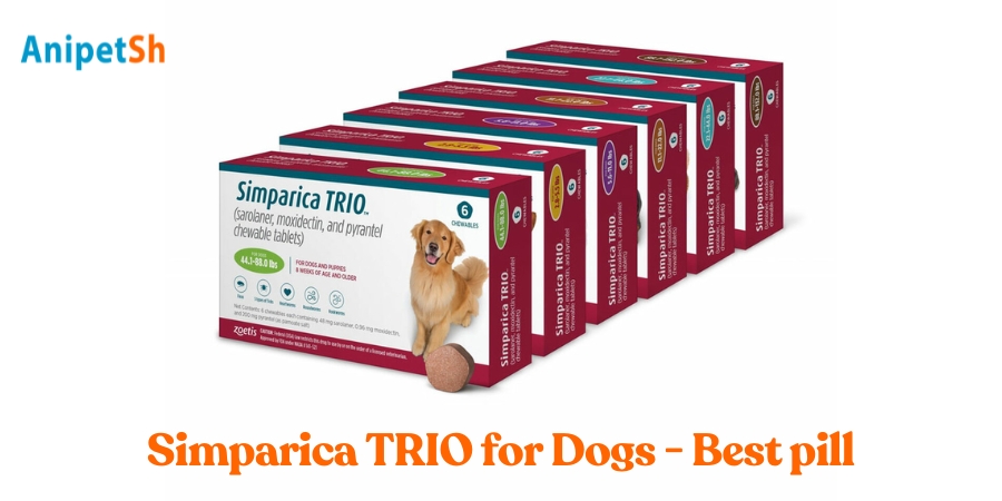 Simparica TRIO for Dogs