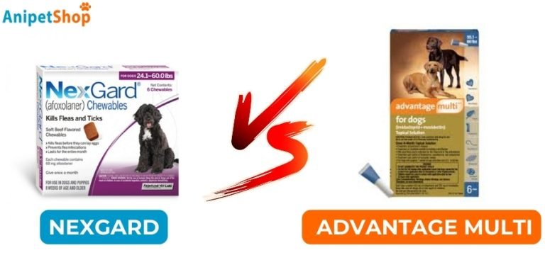 Nexgard vs Advantage Multi Comparison