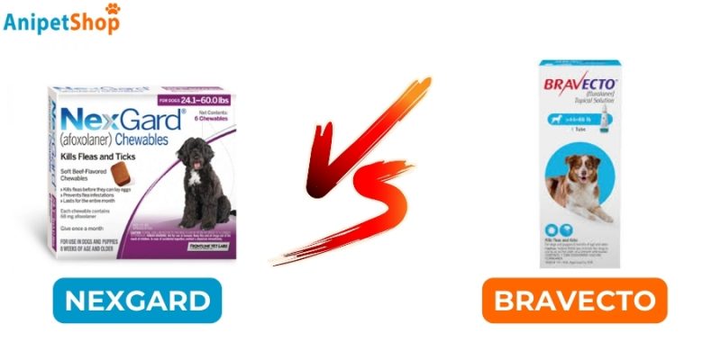 Nexgard vs Bravecto