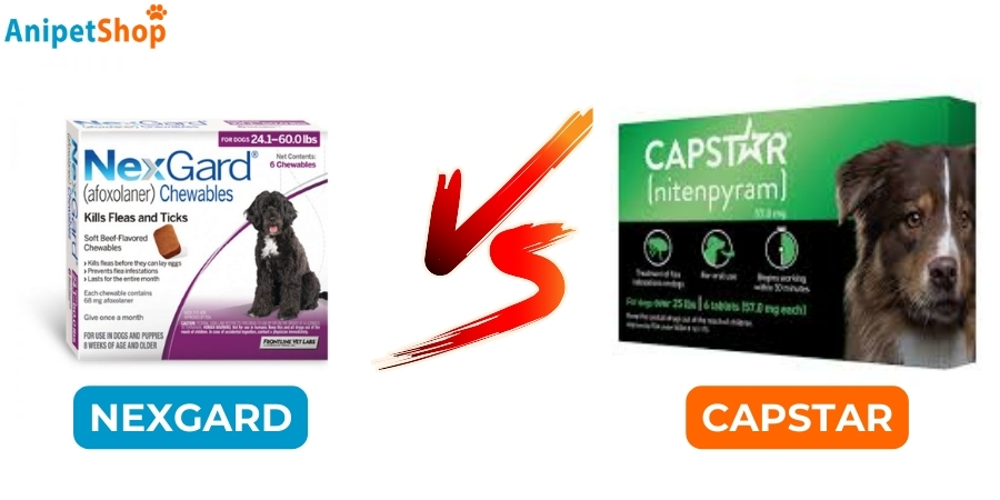 Nexgard vs Capstar