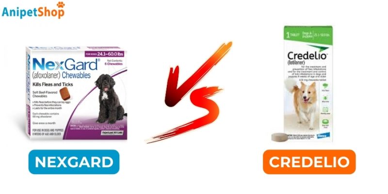 Nexgard vs Credelio Comparison