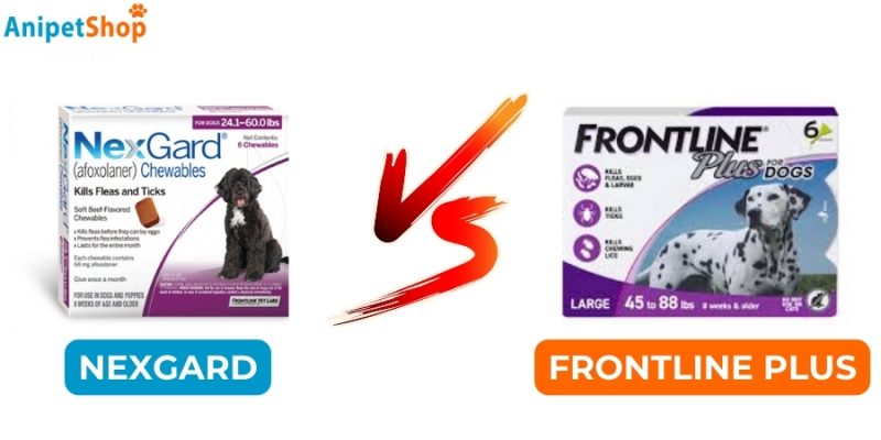 Nexgard vs Frontline Plus Comparison