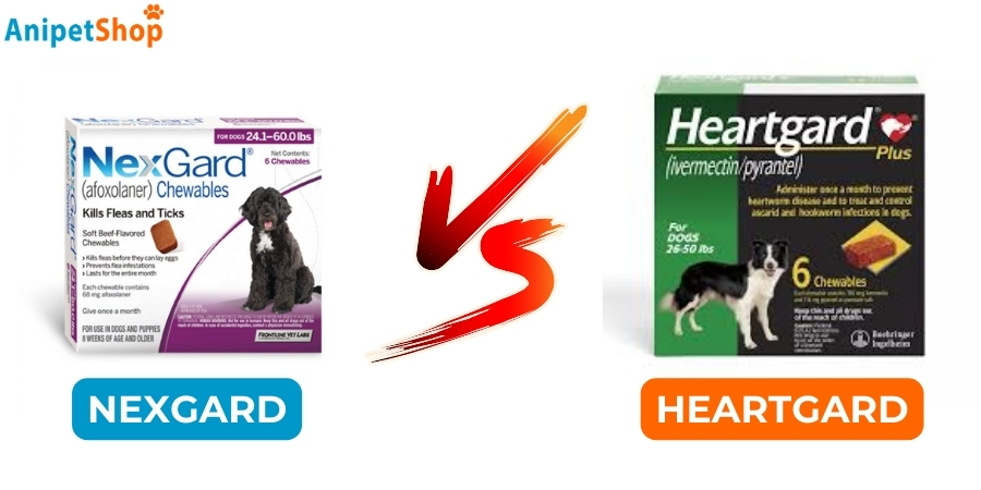 Nexgard vs Heartgard Comparison