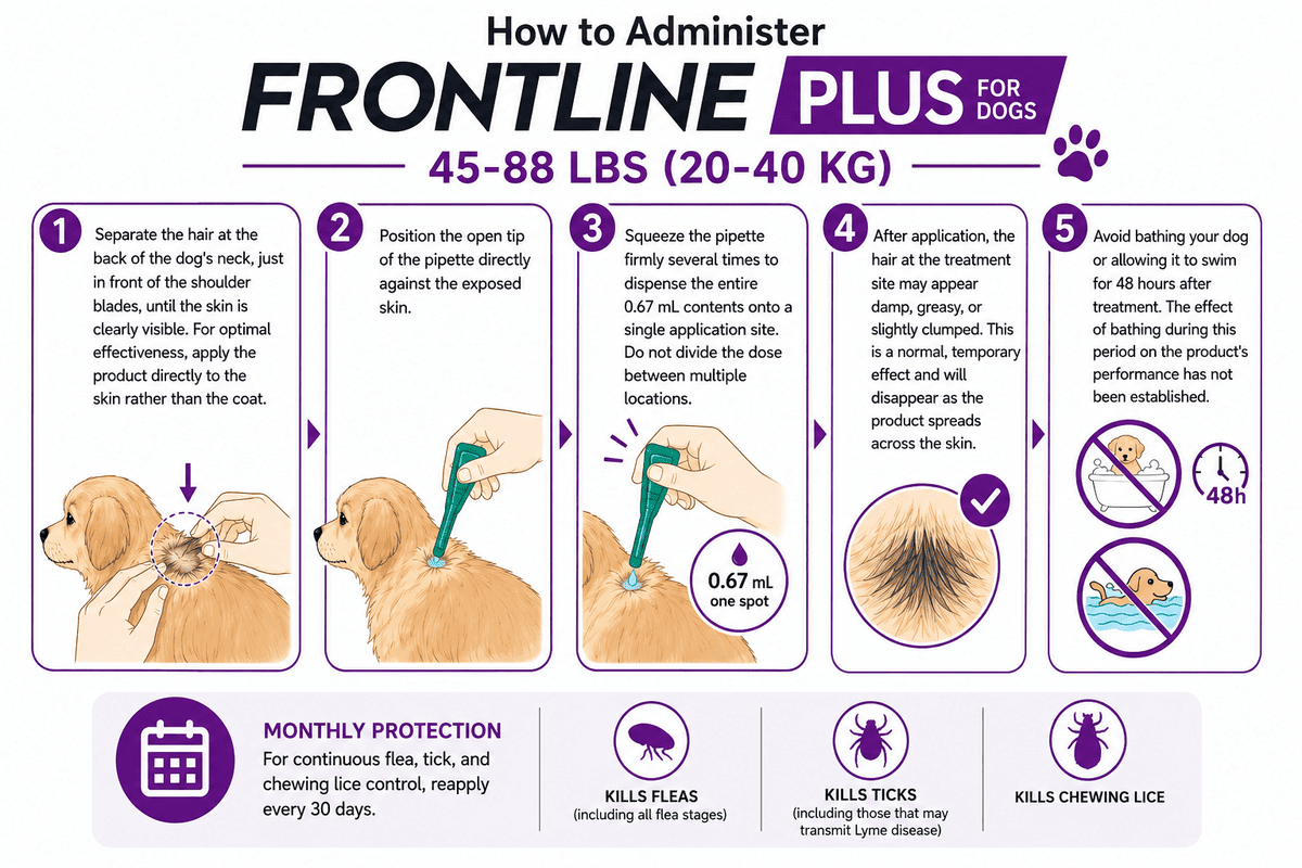 how to apply frontline plus for dogs 45-88 lbs spot-on