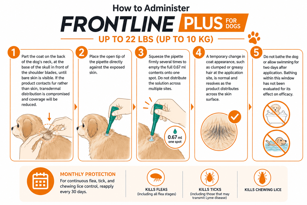 how to apply frontline plus for dogs 22 lbs spot-on