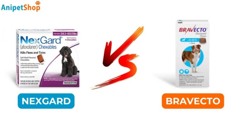 Nexgard vs Bravecto Comparison