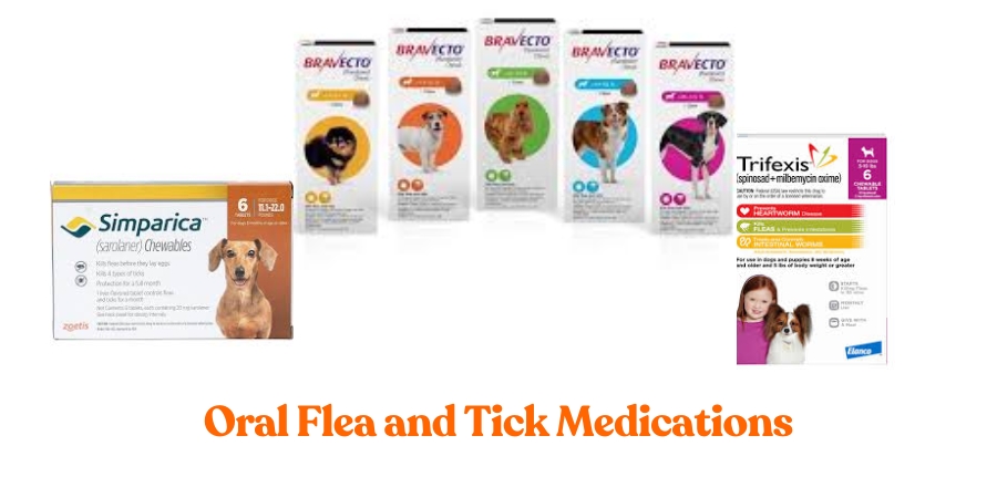 Oral Flea and Tick Medications for Dogs