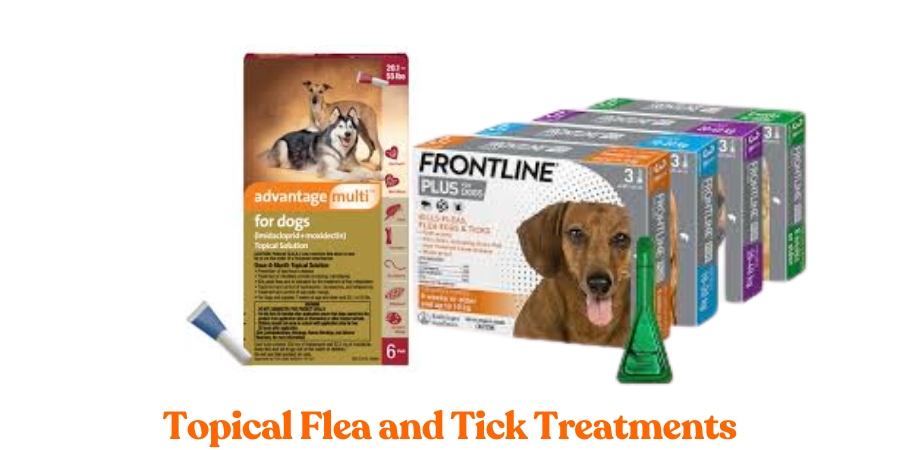 Topical Flea and Tick Treatments for Dogs