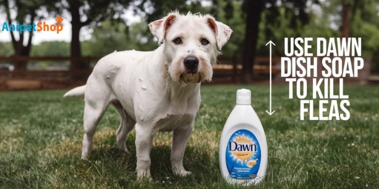 Can You Use Dawn Dish Soap to Kill Fleas on Pets?