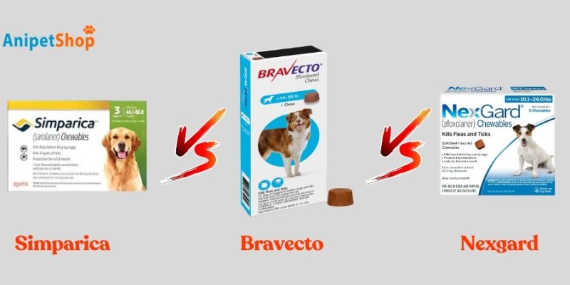 Simparica vs Bravecto vs Nexgard