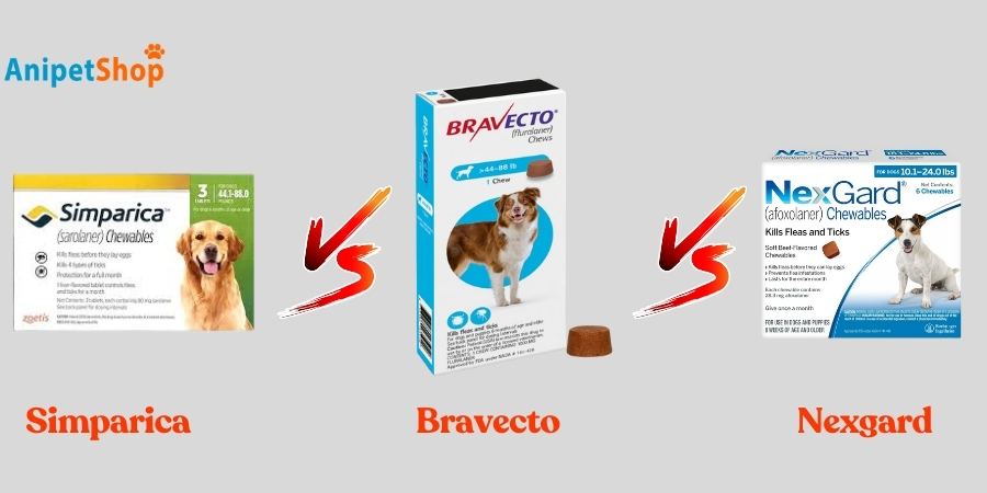 Simparica vs Bravecto vs Nexgard