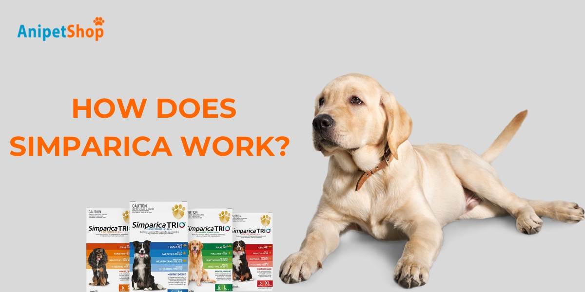 Simparica’s palatable chewable form is ideal for dogs