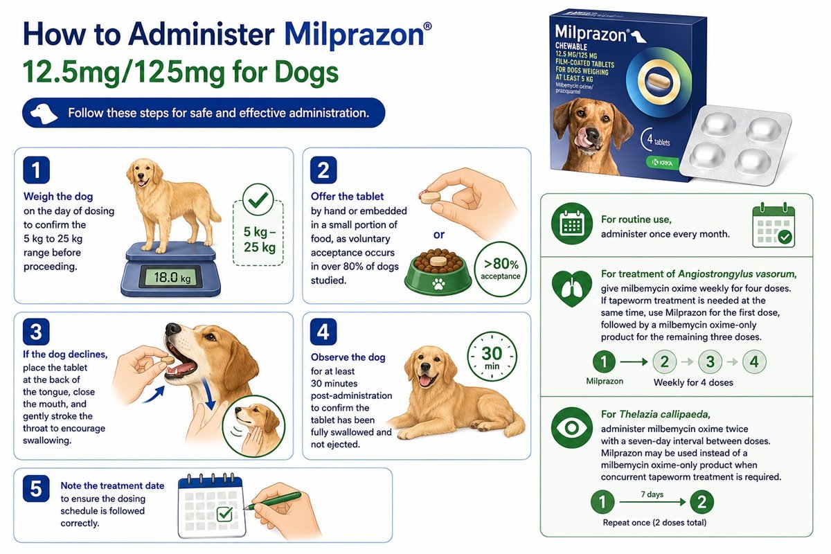 How to administer Milprazon 12.5mg/125mg to your pet