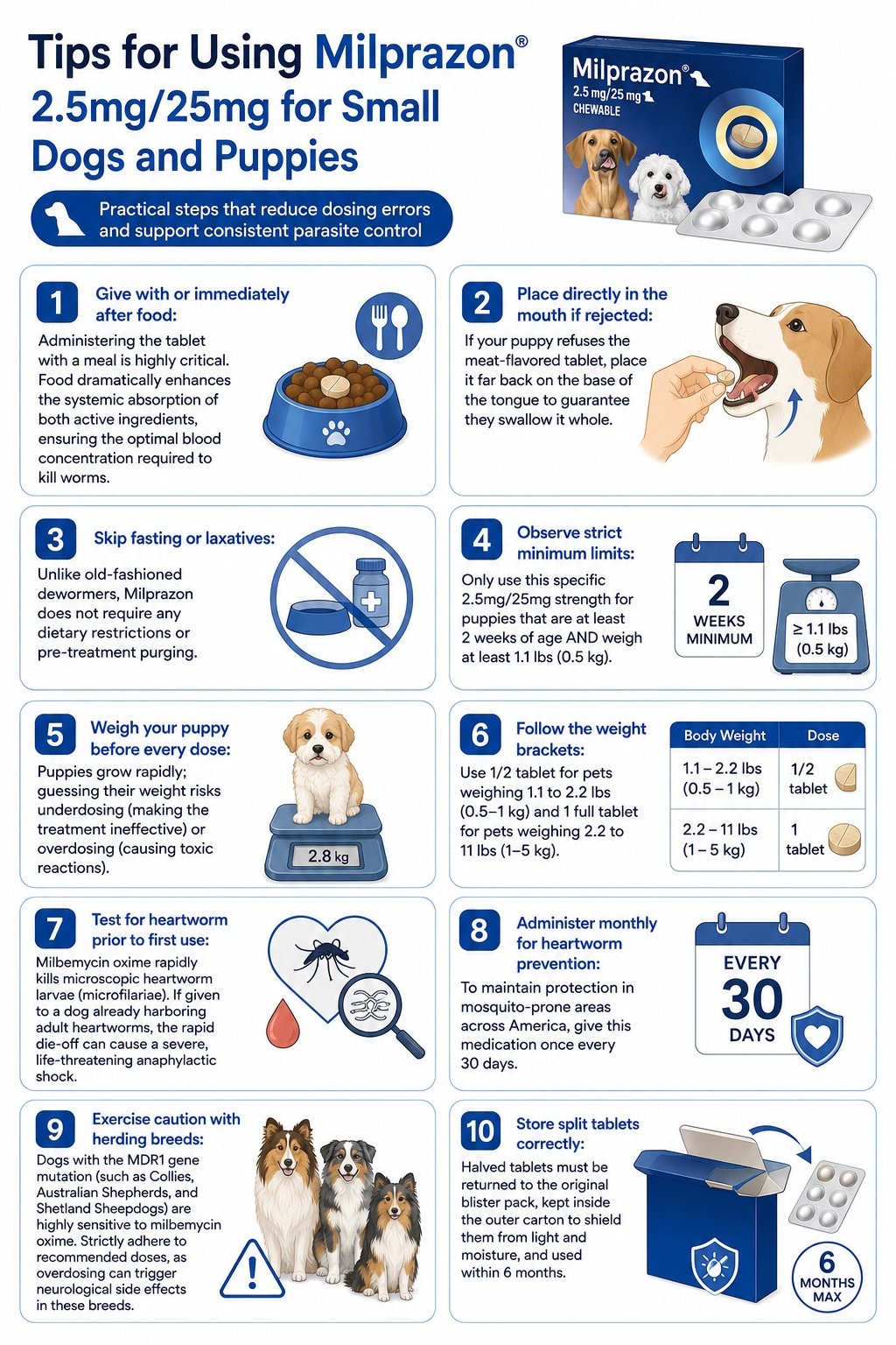 Important tips for using Milprazon 2.5mg/25mg