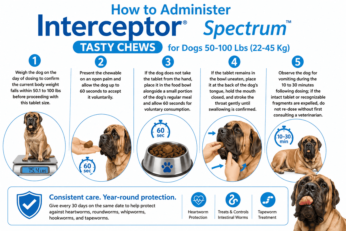 how to administer interceptor spectrum tasty chews for dogs 50-100 lbs