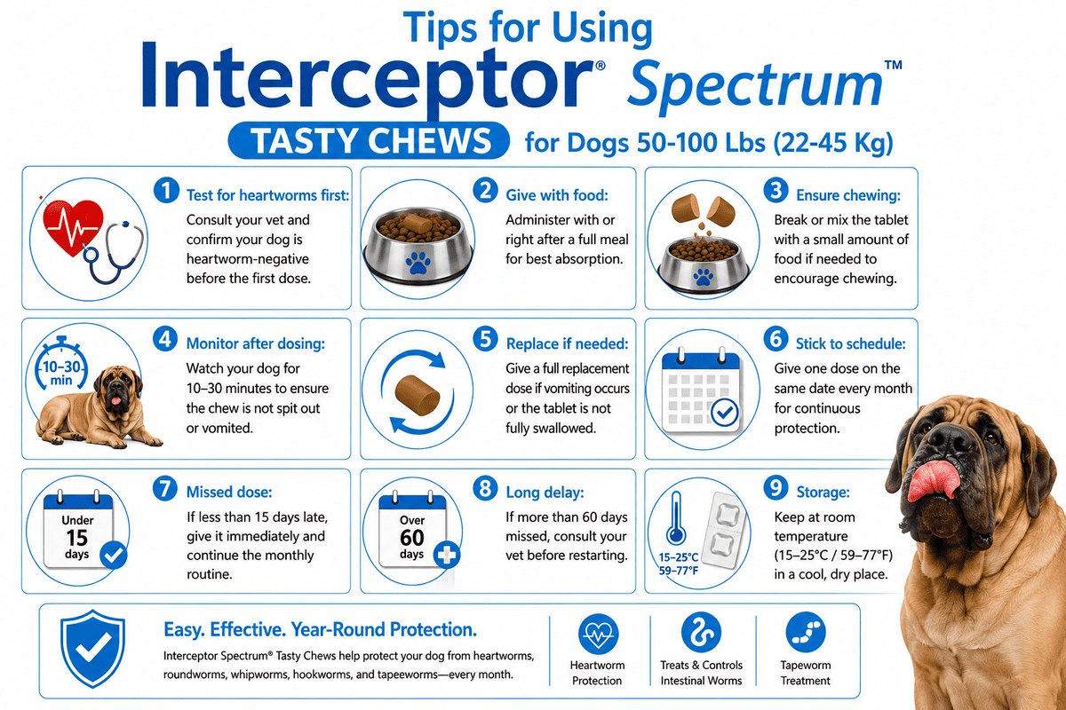 tips for using interceptor spectrum tasty chews for dogs 50-100 lbs