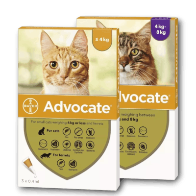 Advocate for Cats Category banner - Anipetshop