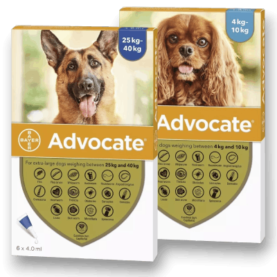 Advocate for Dogs Category Cover - Anipetshop