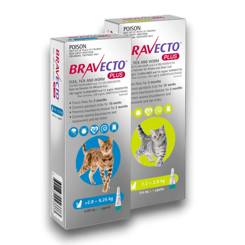 Bravecto Plus for cat cover cate anipetshop