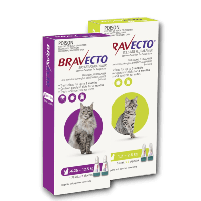 Bravecto for Cats Category banner - Anipetshop
