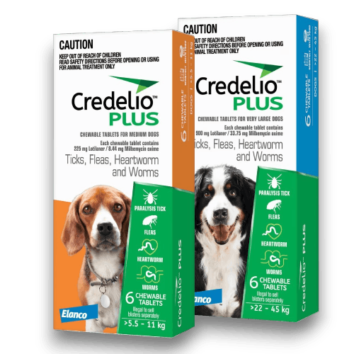 Credelio Plus for Dogs Category Cover - Anipetshop