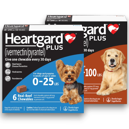 Heartgard Plus for dogs cover cate anipetshop