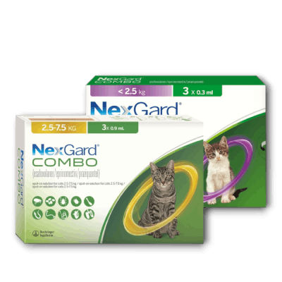 Nexgard Combo for Cats Category banner - Anipetshop