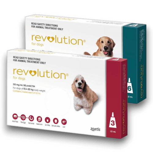 Revolution for dogs discount anipetshop
