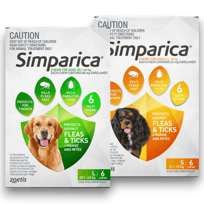 Simparica Cate cover Anipetshop