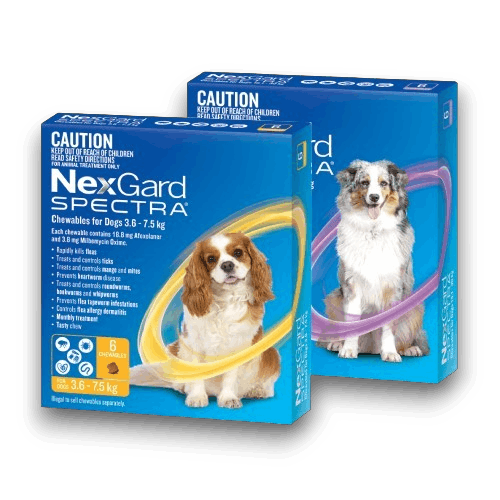 nexgard spectra discount