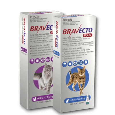 Bravecto Plus for cats sale slide
