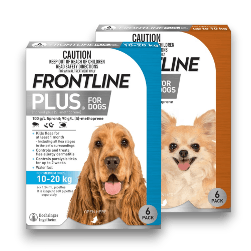 Frontline Plus intro