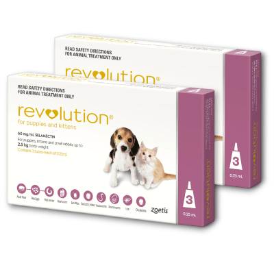 Revolution for kittens and puppies sale