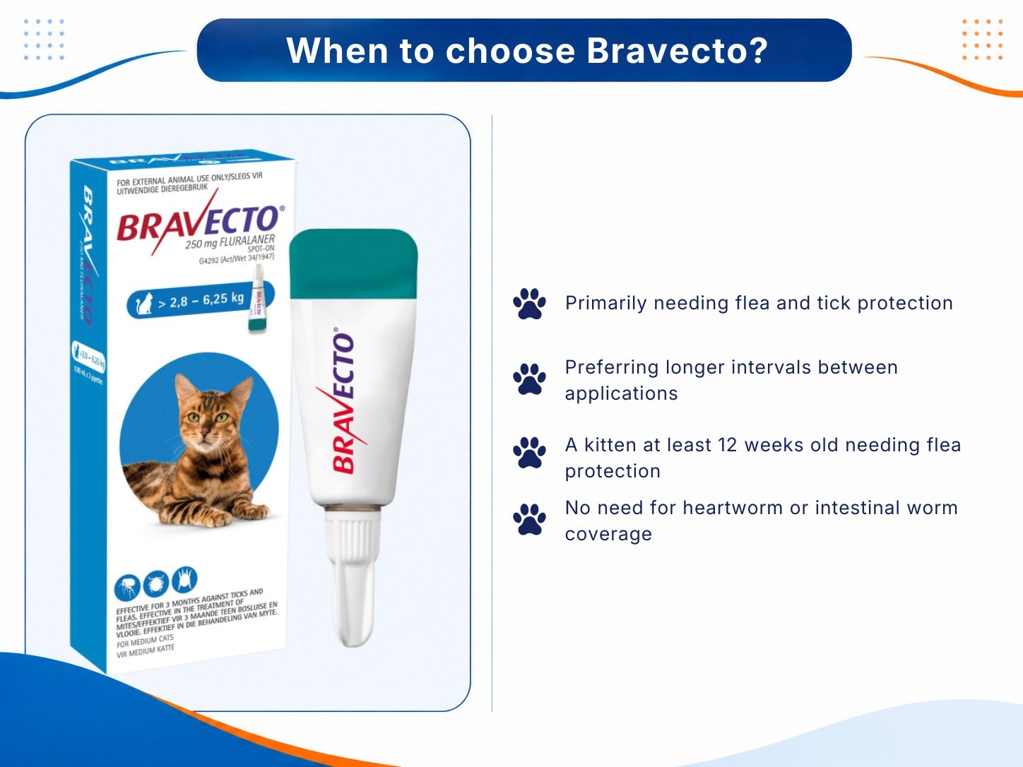 Highlighting when Bravecto is an option for cats focused on flea and tick control.
